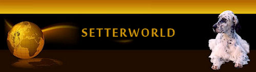 setterworld