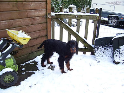 brrr koud